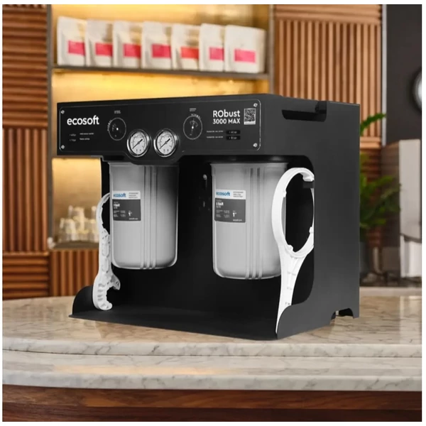 Ecosoft ROBUST 3000 fordított ozmózisos víztisztító nehezen kezelhető nyersvizekhez