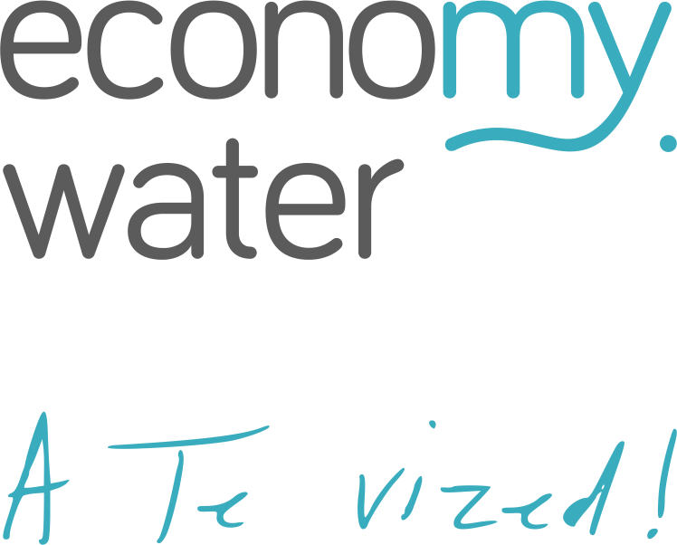 Economy Water